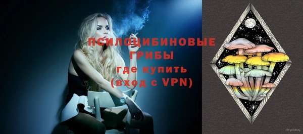 молекула духа Приозерск