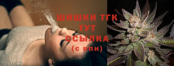 молекула духа Приозерск