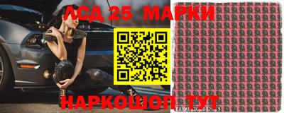 гидропоника Краснодар