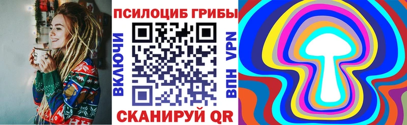 Псилоцибиновые грибы Cubensis  Котлас 