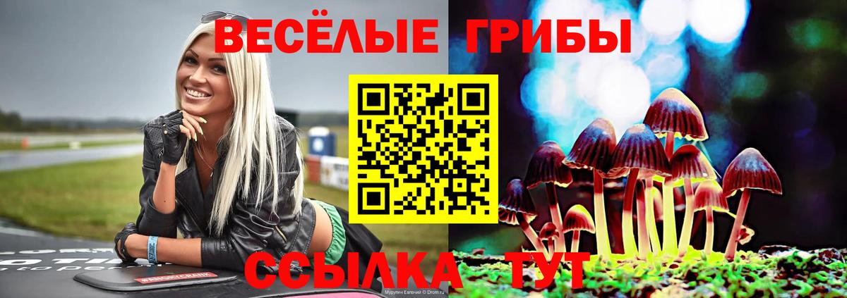 Псилоцибиновые грибы MAGIC MUSHROOMS Котлас